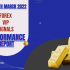 MARCH 3RD WEEK FOREX SIGNALS FINAL REPORTS 2022