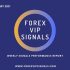 FEBRUARY 4TH WEEK FOREX SIGNALS FINAL REPORTS 2021