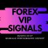 MARCH 30TH – APRIL 3RD FOREX SIGNALS FINAL REPORTS 2020
