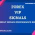 NOVEMBER 3RD WEEK FOREX SIGNALS FINAL REPORTS 2020