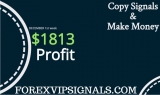 Forex Signals Online Honest Report 1ST WEEK DECEMBER 2018