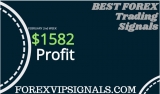 FOREX PROFIT SIGNALS 2ND WEEK FEBRUARY 2019 HONEST REPORT