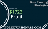 FOREX TRADING SIGNALS 4TH WEEK FEBRUARY 2019 HONEST REPORT