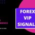 JUNE 3RD WEEK FOREX SIGNALS FINAL REPORTS 2020